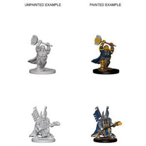 Immagine di D&D Nolzur's Marvelous Miniatures - Dwarf Male Paladin