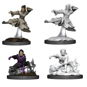 Immagine di D&D Nolzur's Marvelous Miniatures - Female Human Monk