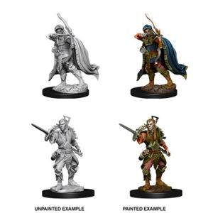 Immagine di D&D Nolzur's Marvelous Miniatures - Male Elf Rogue