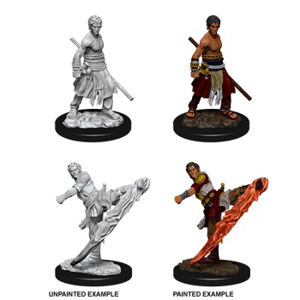Immagine di D&D Nolzur's Marvelous Miniatures - Male Half-Elf Monk