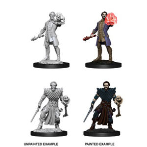 Immagine di D&D Nolzur's Marvelous Miniatures - Male Human Warlock