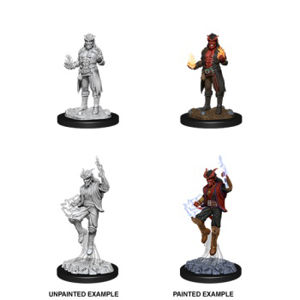 Immagine di D&D Nolzur's Marvelous Miniatures - Male Tiefling Sorcerer