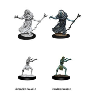 Immagine di D&D Nolzur's Marvelous Miniatures - Sea Hag & Bheur Hag