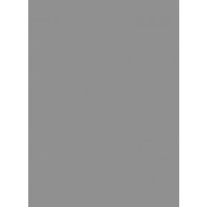 Immagine di Legion - Matte Sleeves - Silver Double Matte Sleeves (50)
