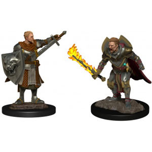 Immagine di Pathfinder Deepcuts: Human Champion Male (2 Units)